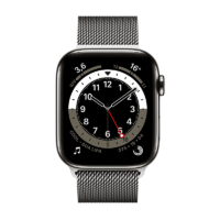 Apple Watch Series 6 Acero Inoxidable 40 mm GPS + Cellular Grafito/Milaneses Loop Grafito