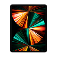 Apple iPad Pro 2021 12,9 128GB WiFi Plata